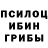 Галлюциногенные грибы мицелий Gif 4