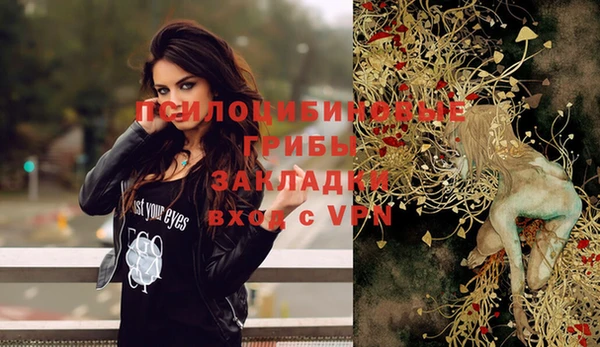 apvp Новодвинск